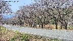 takano5-20250419104112.jpg
