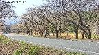 takano5-20250419112111.jpg
