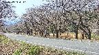 takano5-20250419114111.jpg