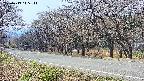takano5-20250419115112.jpg