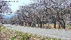 takano5-20250419123111.jpg