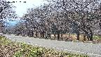 takano5-20250419132112.jpg