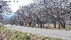 takano5-20250419133111.jpg