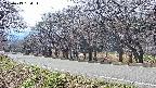 takano5-20250419134113.jpg