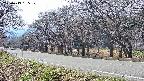 takano5-20250419135111.jpg