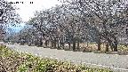 takano5-20250419141112.jpg