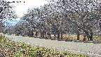 takano5-20250419142113.jpg