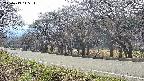 takano5-20250419145114.jpg