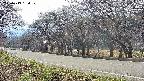 takano5-20250419150111.jpg