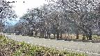 takano5-20250419151113.jpg