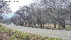 takano5-20250419153113.jpg