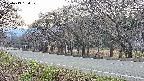 takano5-20250419154110.jpg