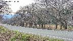 takano5-20250419160112.jpg
