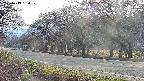 takano5-20250419164109.jpg