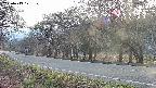 takano5-20250419171109.jpg