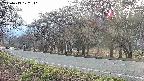 takano5-20250419172111.jpg
