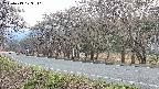 takano5-20250419173111.jpg