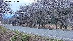 takano5-20250419182112.jpg