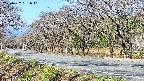 takano5-20250422081641.jpg