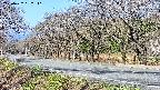 takano5-20250422082111.jpg