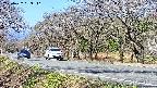 takano5-20250422083111.jpg