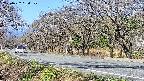 takano5-20250422084108.jpg