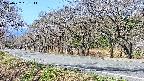 takano5-20250422091112.jpg