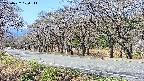 takano5-20250422100112.jpg