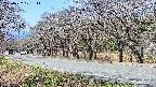 takano5-20250422101112.jpg