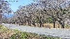 takano5-20250422102111.jpg