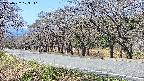 takano5-20250422103111.jpg