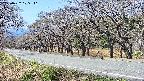 takano5-20250422105111.jpg