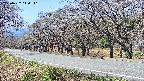 takano5-20250422110111.jpg