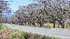 takano5-20250422111110.jpg