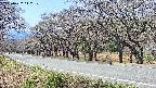 takano5-20250422112109.jpg