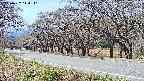takano5-20250422114111.jpg
