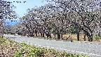 takano5-20250422115111.jpg