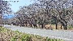 takano5-20250422120112.jpg