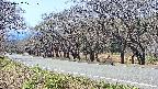 takano5-20250422121109.jpg
