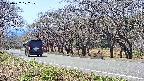 takano5-20250422122110.jpg