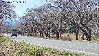 takano5-20250422123112.jpg