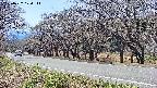takano5-20250422124112.jpg
