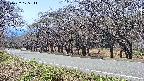takano5-20250422125112.jpg