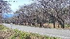 takano5-20250422130111.jpg