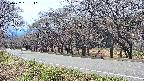 takano5-20250422131111.jpg