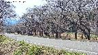 takano5-20250422132111.jpg