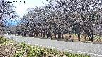 takano5-20250422133113.jpg