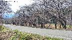 takano5-20250422134109.jpg