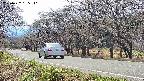 takano5-20250422135112.jpg