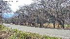 takano5-20250422141112.jpg